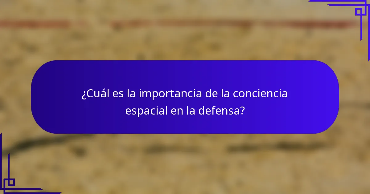 ¿Cuál es la importancia de la conciencia espacial en la defensa?